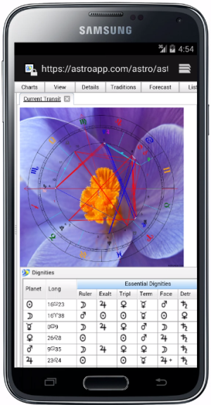 android portrait custom background